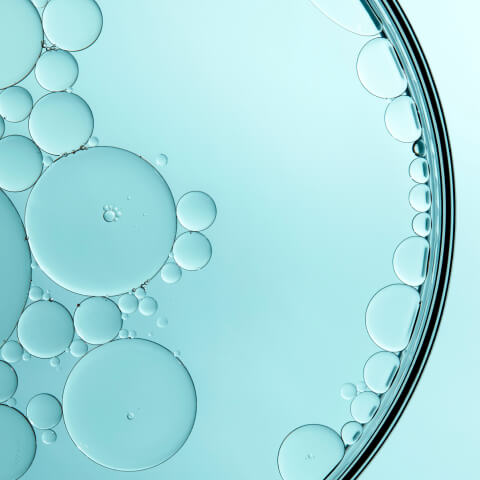A close-up of clear oil droplets suspended in blue-tinted liquid inside a petri dish, viewed from above.